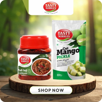 Tasty Nibbles - Premium quality Indian brand